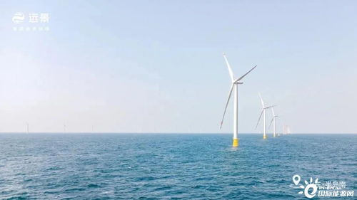 山东首次实现海上风电航空应用发电
