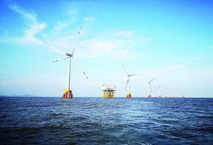 浙江海上风电项目累计发电突破1亿度，陆路国际货运代理业务助力清洁能源发展