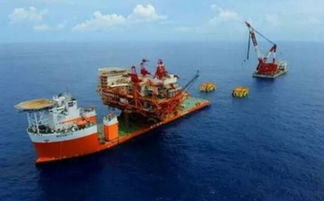 碧海蓝天间的“巨树”如何生根——揭秘海上风电场的建设全过程