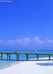 海上度假与陆路货运 现代生活方式的多元画卷