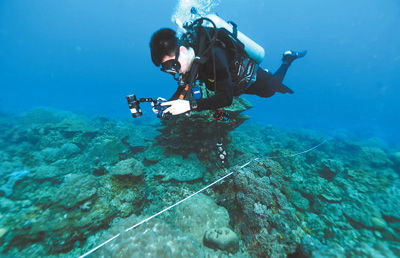 科技赋能陆路货运，守护海洋“热带雨林”——现代物流业的新使命与绿色实践