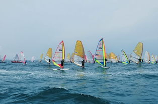 海上扬帆，陆路通达 国际货运代理业务的双重变奏